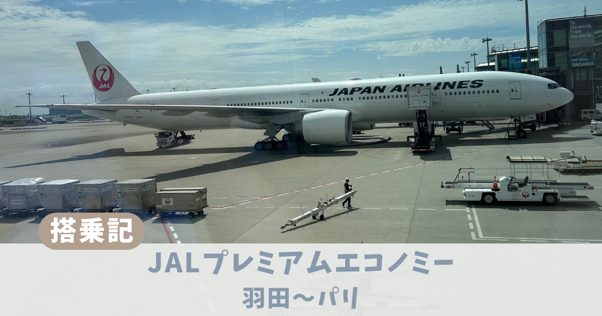 JAL　プレミアムエコノミー　アイキャッチ
