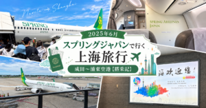 スプリングジャパン搭乗記アイキャッチ画像