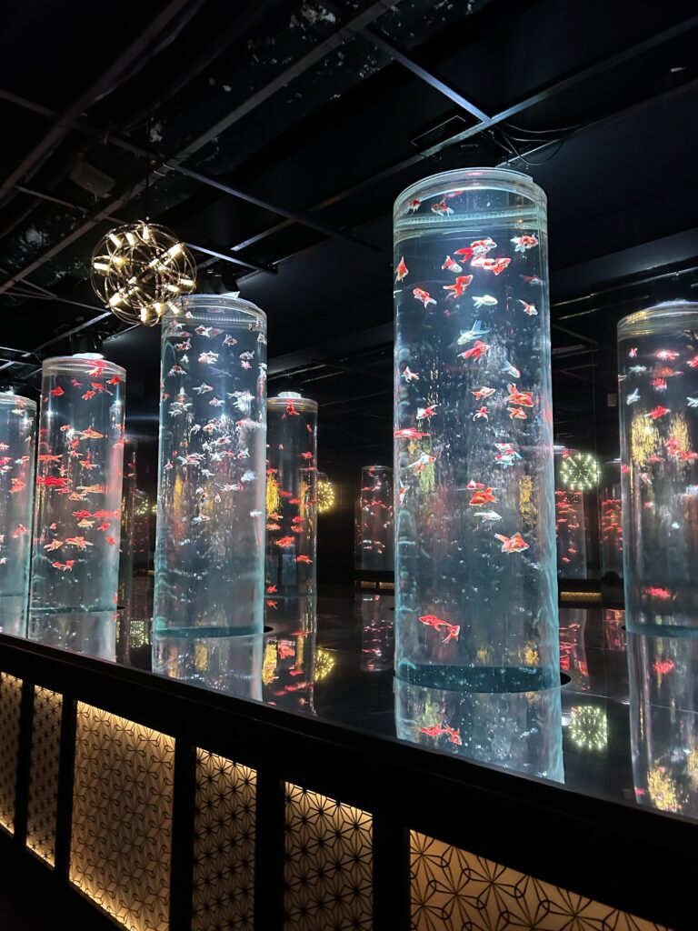 アートアクアリウム美術館 実際に行った際の写真