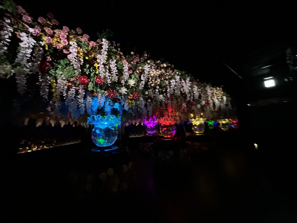 アートアクアリウム美術館 実際に行った際の写真