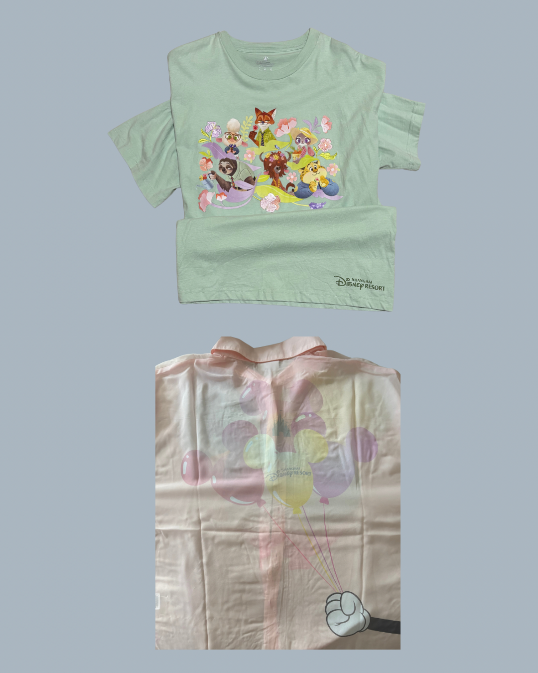 上海ディズニーランドで購入したもの