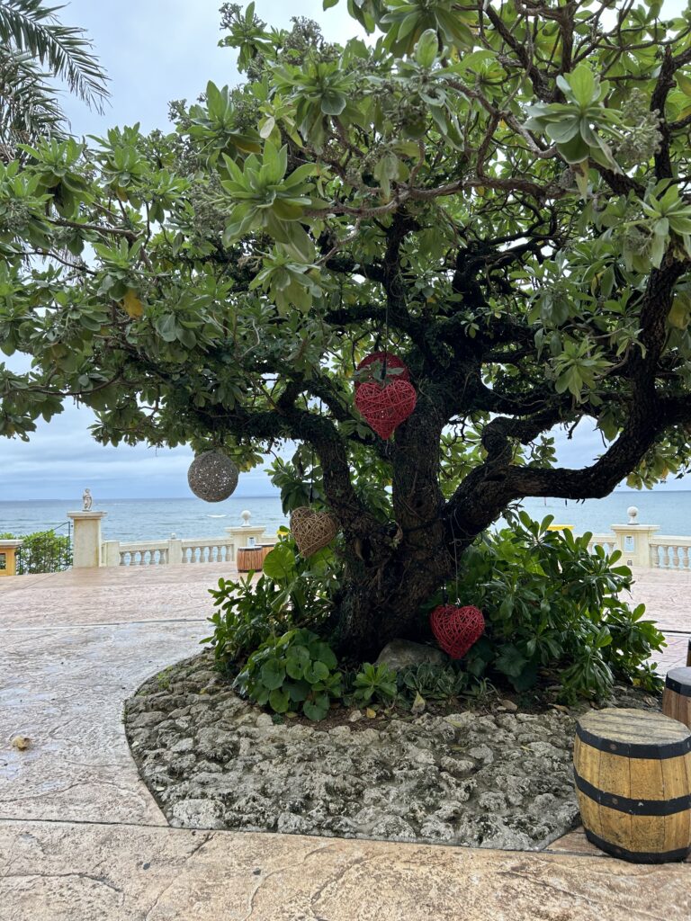 アメリカンビレッジ