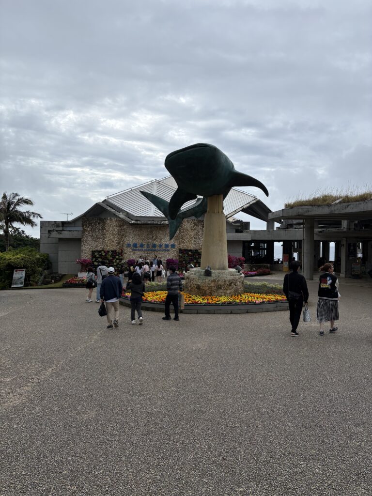 美ら海水族館